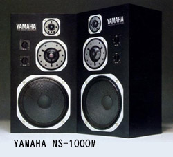 ns1000M-2.jpg
